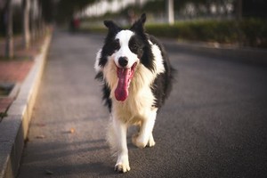 形容男女欢愉的句子