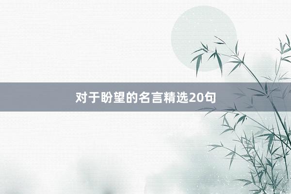 对于盼望的名言精选20句
